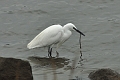 12 02 15_1560_edited-1